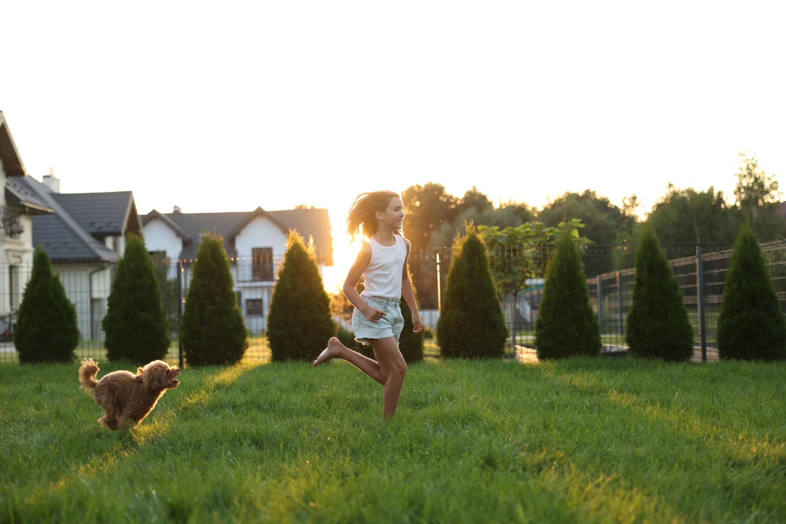 Clean backyard lawn with a dog